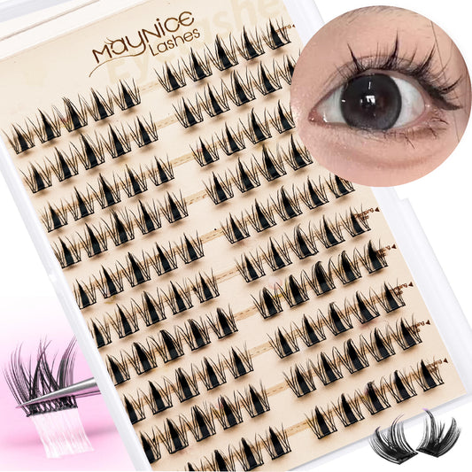 Lash Magnet (60 Count)